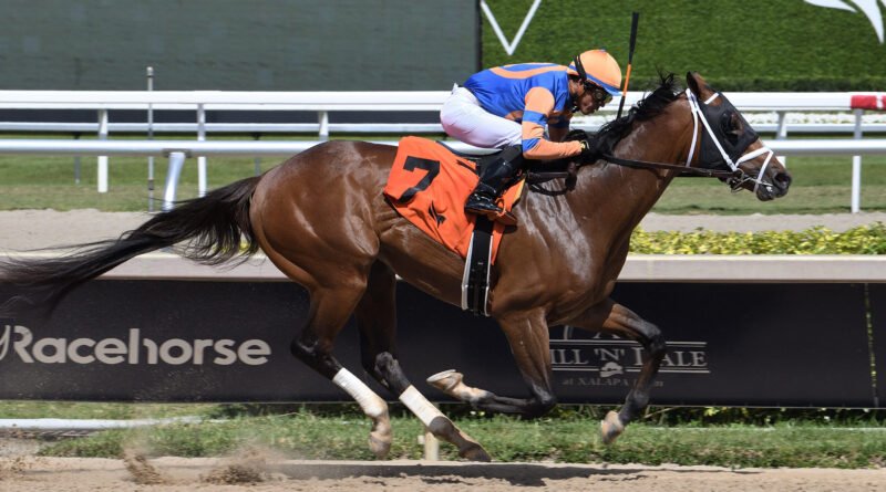 VIBE regresa a Gulfstream para un «reinicio» en el Mr. Jordan Handicap VIBE regresa a Gulfstream para un «reinicio» en el Mr. Jordan Handicap