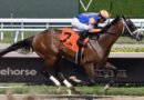 VIBE, adquirido por 3 millones de dólares, ejercita para el Mr. Jordan Handicap