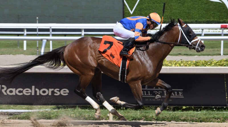 VIBE, adquirido por 3 millones de dólares, ejercita para el Mr. Jordan Handicap