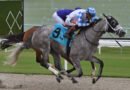 VINCEY GIRL busca su trifecta de victorias selectivas en el Daring Kathy Handicap VINCEY GIRL busca su trifecta de victorias selectivas en el Daring Kathy Handicap