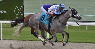 VINCEY GIRL busca su trifecta de victorias selectivas en el Daring Kathy Handicap VINCEY GIRL busca su trifecta de victorias selectivas en el Daring Kathy Handicap