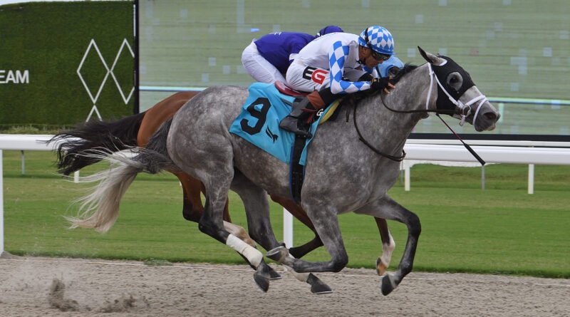 VINCEY GIRL busca su trifecta de victorias selectivas en el Daring Kathy Handicap VINCEY GIRL busca su trifecta de victorias selectivas en el Daring Kathy Handicap