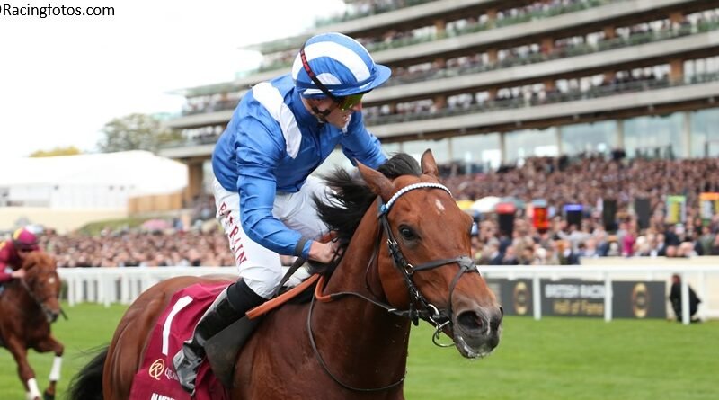 ALMERAQ ratifica su jerarquía con esperada victoria en Ascot