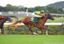 Arabia Saudita y Japón mantienen su estrecha relación con la Saudi Arabia Royal Cup de 2026 en Tokio Arabia Saudita y Japón mantienen su estrecha relación con la Saudi Arabia Royal Cup de 2026 en Tokio