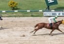 ROD HENDRICK gana la Copa José Antonio Gubaira