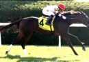 INSIGHTFUL MISS remata para ganar el Ballyrankin en Keeneland INSIGHTFUL MISS remata para ganar el Ballyrankin en Keeneland