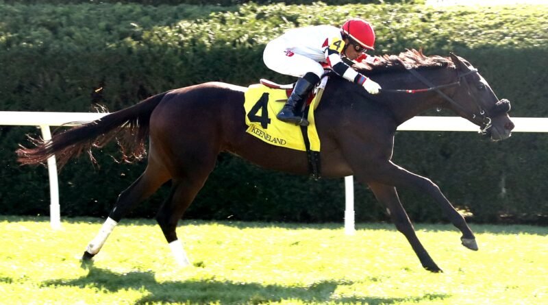 INSIGHTFUL MISS remata para ganar el Ballyrankin en Keeneland INSIGHTFUL MISS remata para ganar el Ballyrankin en Keeneland