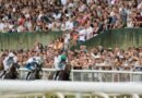 El Hipódromo de San Sebastián presenta su calendario para 2027 con 18 jornadas El Hipódromo de San Sebastián presenta su calendario para 2027 con 18 jornadas