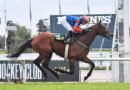 STAY TUNE del último al primero en el Gran Premio Jockey Club de San Isidro