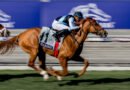 FRANCO LLEGA CON GRAN IMPULSO A LA BREEDERS’ CUP