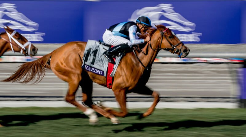 FRANCO LLEGA CON GRAN IMPULSO A LA BREEDERS’ CUP