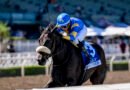 DOMAIN EXPANSION logra impensable triunfo en el Oak Leaf Stakes