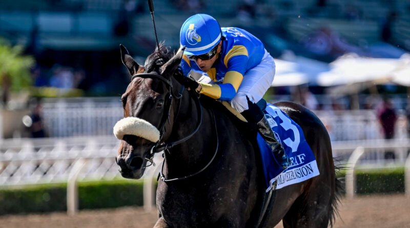 DOMAIN EXPANSION logra impensable triunfo en el Oak Leaf Stakes