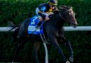 RHETORICAL se consagra en el Turf Mile Stakes