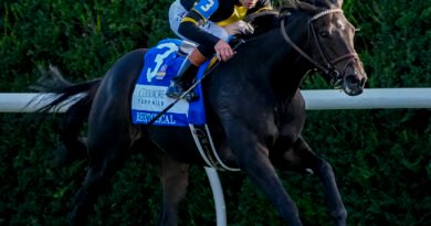 RHETORICAL se consagra en el Turf Mile Stakes