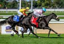 BRICKYARD BELLE remata con fuerza y conquista el Matron Stakes