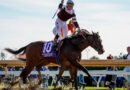 EMPHATIC se mantiene invicta tras la Breeders’ Cup Juvenile Fillies