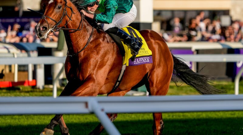 HAFFNER da el doblete a O’Brien y Moore el Viernes en las Breeders’ Cup