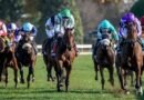 SUN GODDESS, la gran favorita, no defrauda