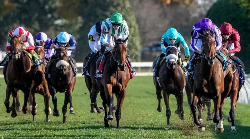 SUN GODDESS, la gran favorita, no defrauda
