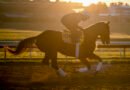 SOVEREIGNTY destaca en la jornada de ejercicios del Domingo en Keeneland