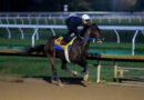 MAGNITUDE encabezó los ajustes del Sábado en Keeneland