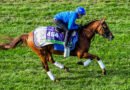 Notas de las Breeders’ Cup: NOTABLE SPEED Notas de las Breeders’ Cup: NOTABLE SPEED