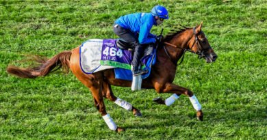 Notas de las Breeders’ Cup: NOTABLE SPEED Notas de las Breeders’ Cup: NOTABLE SPEED