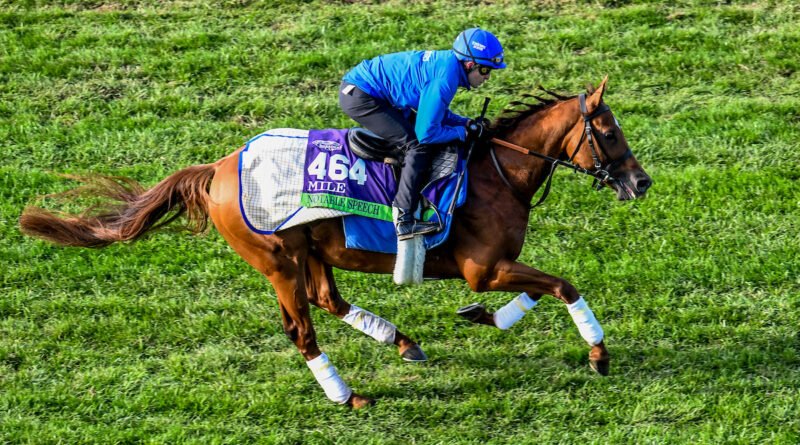 Notas de las Breeders’ Cup: NOTABLE SPEED Notas de las Breeders’ Cup: NOTABLE SPEED