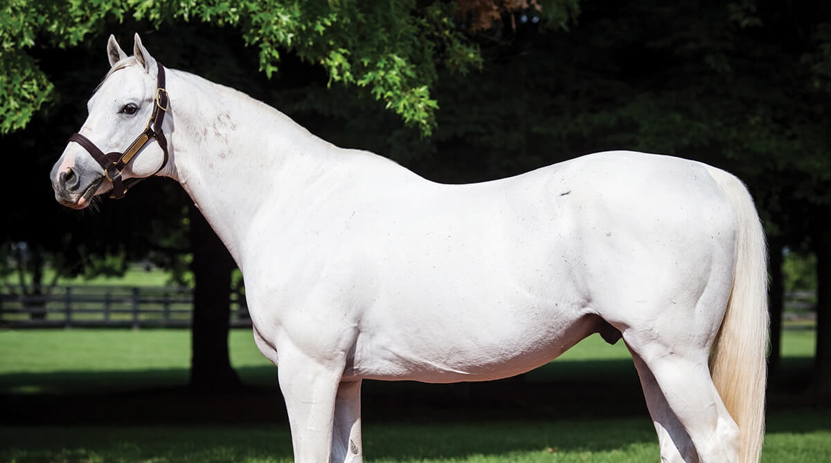 Anuncian 23 nuevos Jefes de Raza