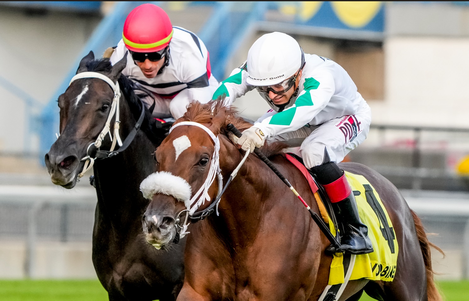 LAST CALL sorprende en el Natalma Stakes