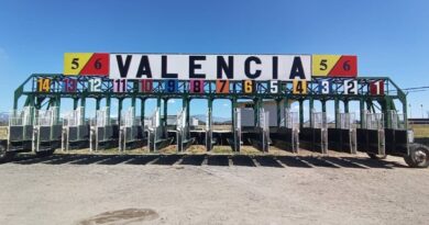 Pronósticos Hipódromo Nacional de Valencia 🇻🇪 Sábado 04 de mayo 2024 🏇