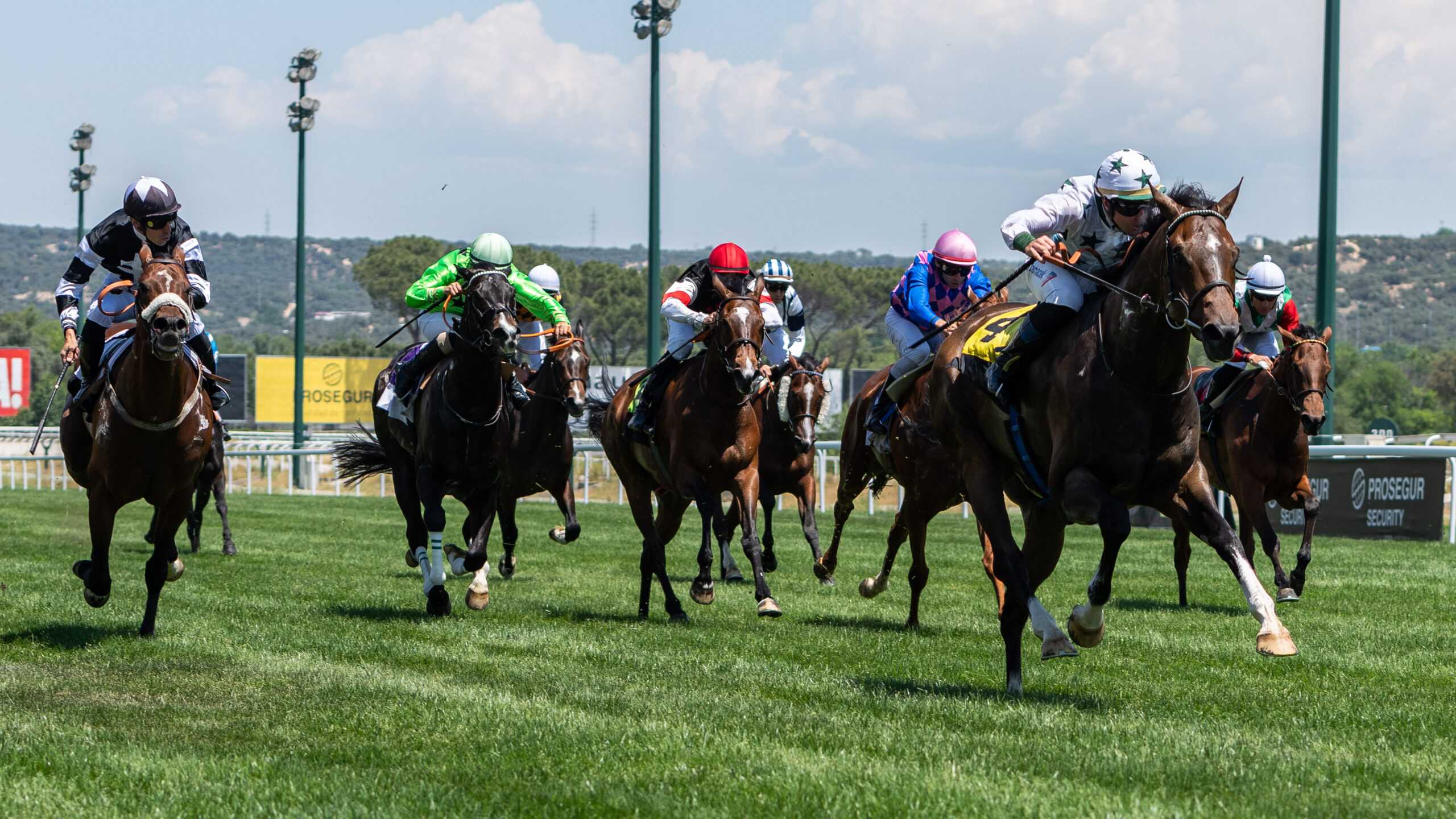 MAXIMUM SCEPTICISM se lleva el oro en el Premio Torre Arias