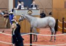 Hija de MENDELSSOHN lidera la sesión inaugural de la venta de mayo Midlantic de dosañeros en entrenamiento de Fasig-Tipton