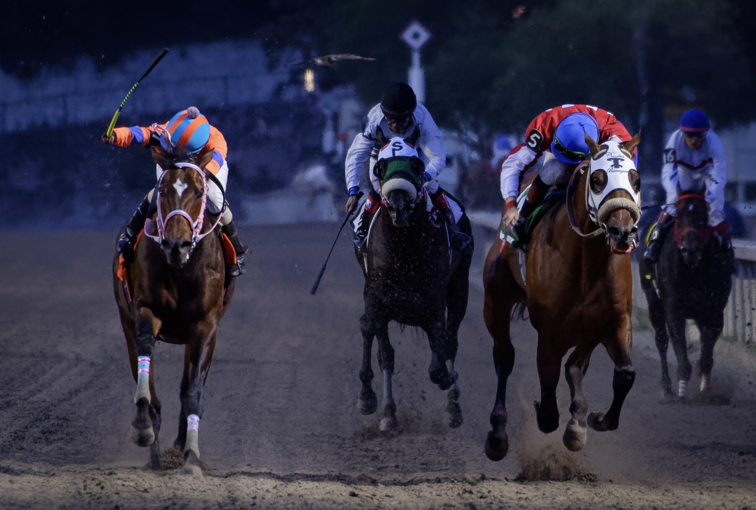 HARPETH RIVER ya tiene un lugar con los grandes | Hipismo.Net