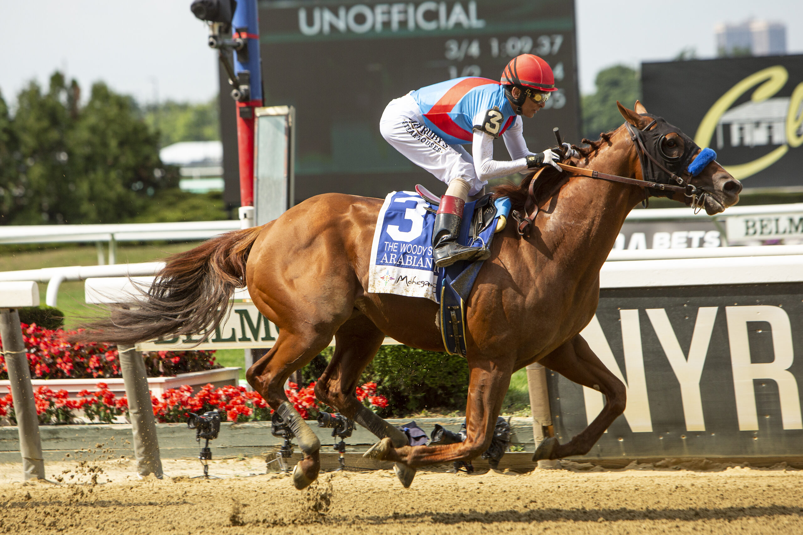 ARABIAN LION demuestra su clase en el Woody Stephens | Hipismo Net