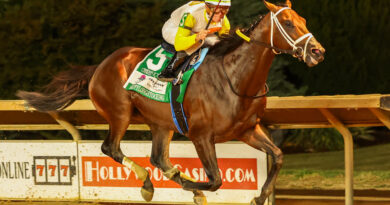 NEWGRANGE y SKIPPYLONGSTOCKING trabajan para la Pegasus World Cup