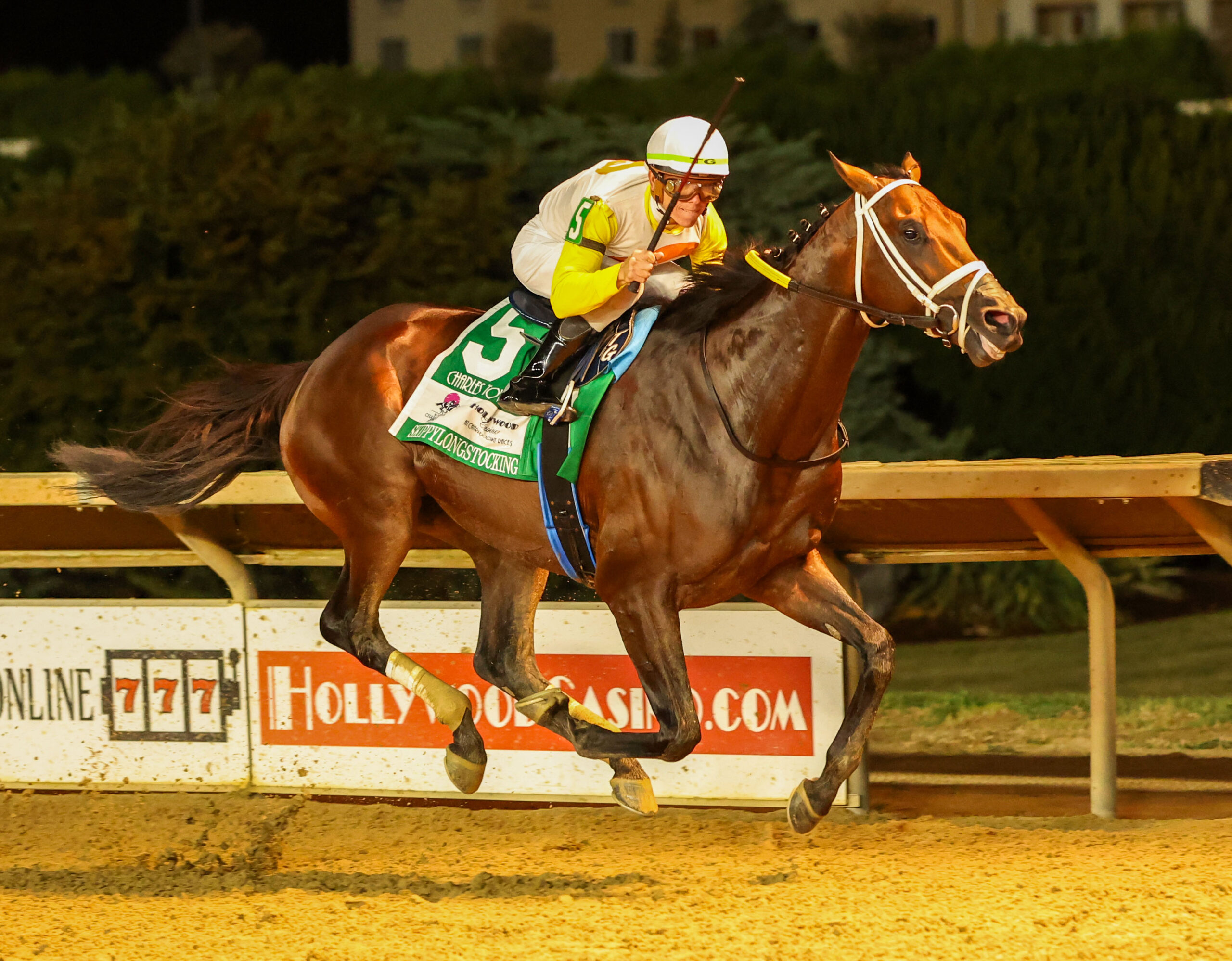 NEWGRANGE y SKIPPYLONGSTOCKING trabajan para la Pegasus World Cup