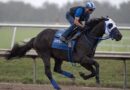 BENTORNATO se prepara para la Breeders’ Cup Sprint (G1)