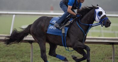 BENTORNATO se prepara para la Breeders’ Cup Sprint (G1)