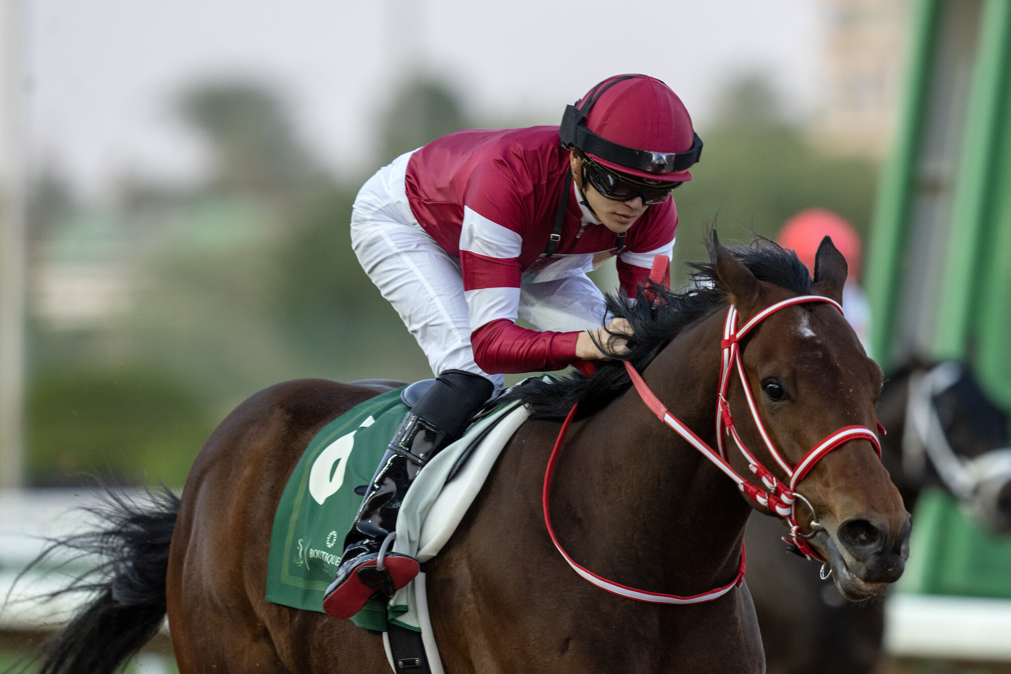 FOREVER YOUNG y CALANDAGAN encabezan las nominaciones de la jornada de la Dubai World Cup