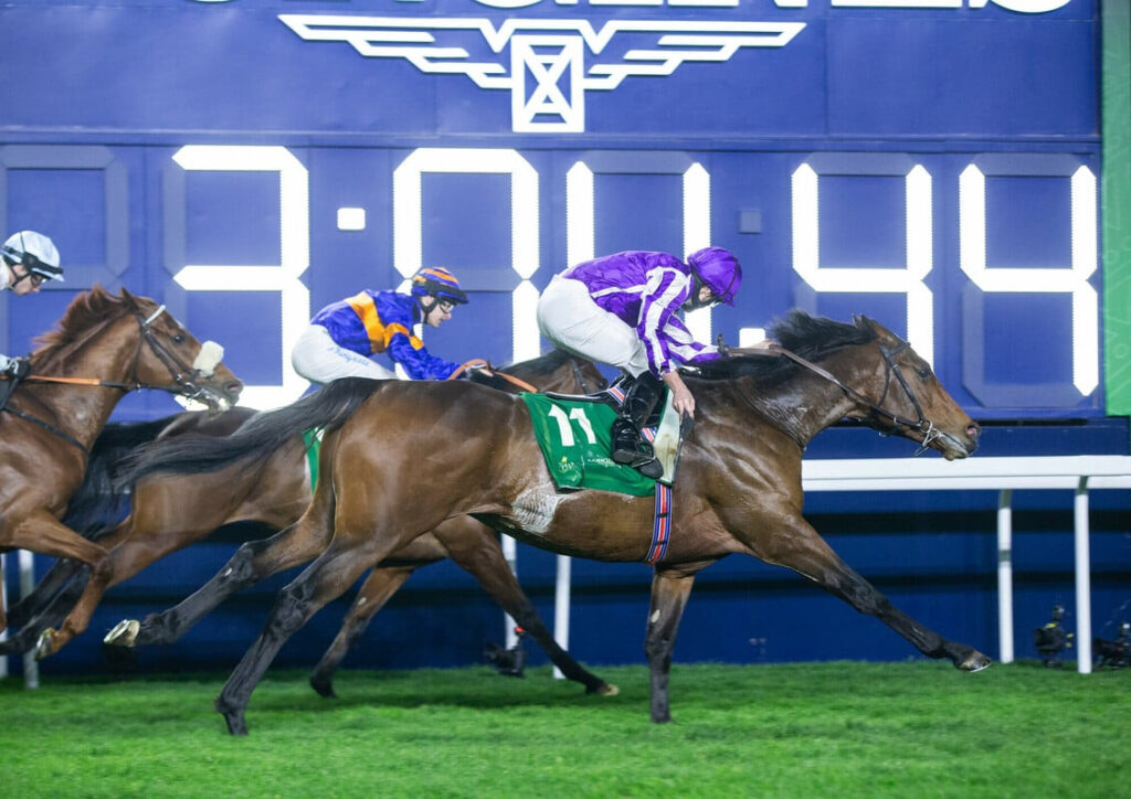 Credit: Jockey Club of Saudi Arabia // Erika Rasmussen