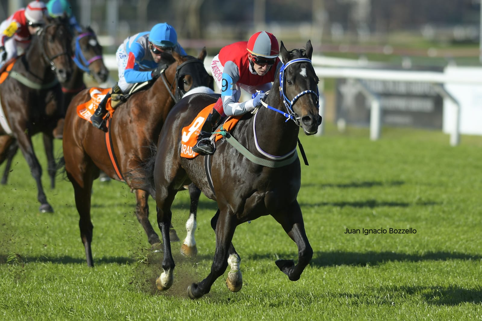 LABRADO hizo historia con un nuevo triunfo en el Gran Premio Estrellas