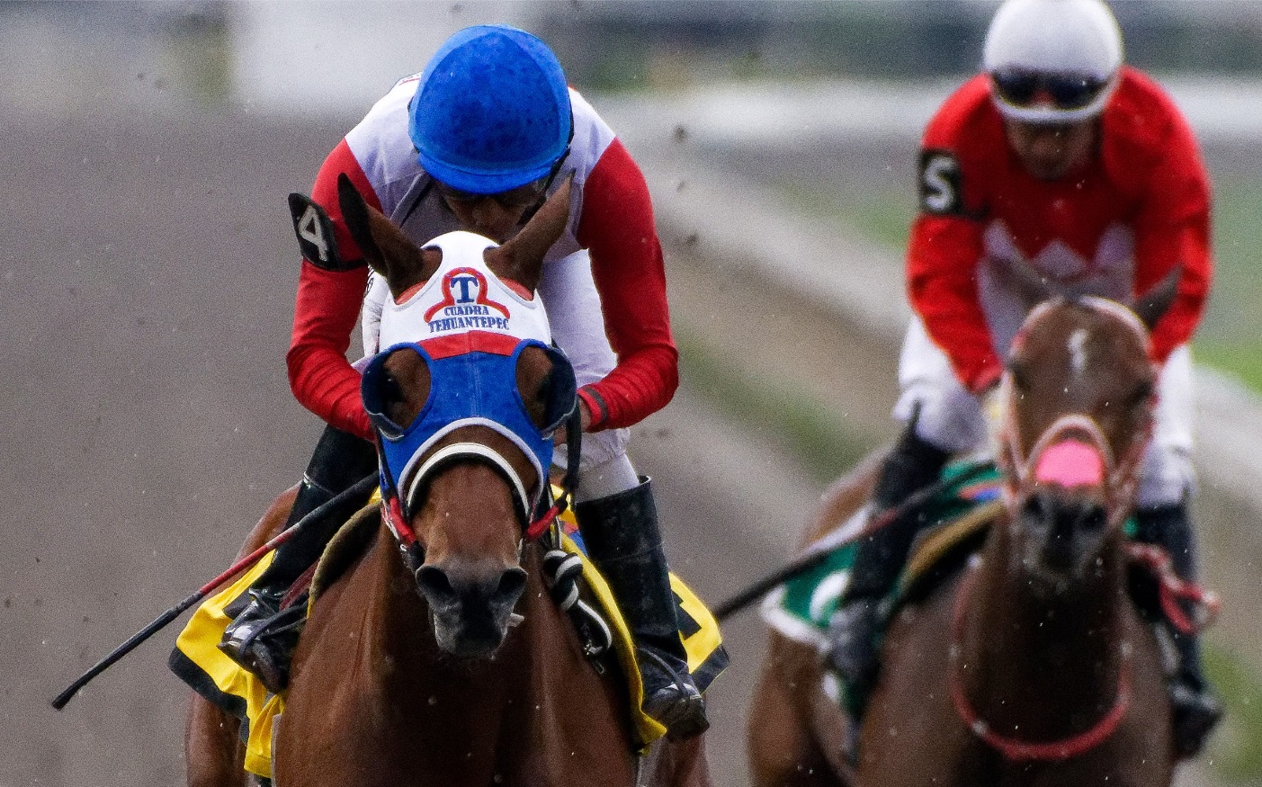 La Campaña 83 del Hipódromo de México arrancó oficialmente