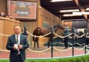 Los buenos resultados de las ventas en Keeneland se ven impulsados por un mercado dinámico