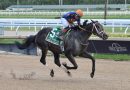 Breeders´Cup Win And You´re In: SOUL OF AN ANGEL remonta y gana el Princess Rooney (G3)