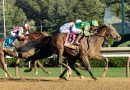 Este sábado Chad Brown busca su 2° Tampa Bay Derby (G3) consecutivo con dos opciones