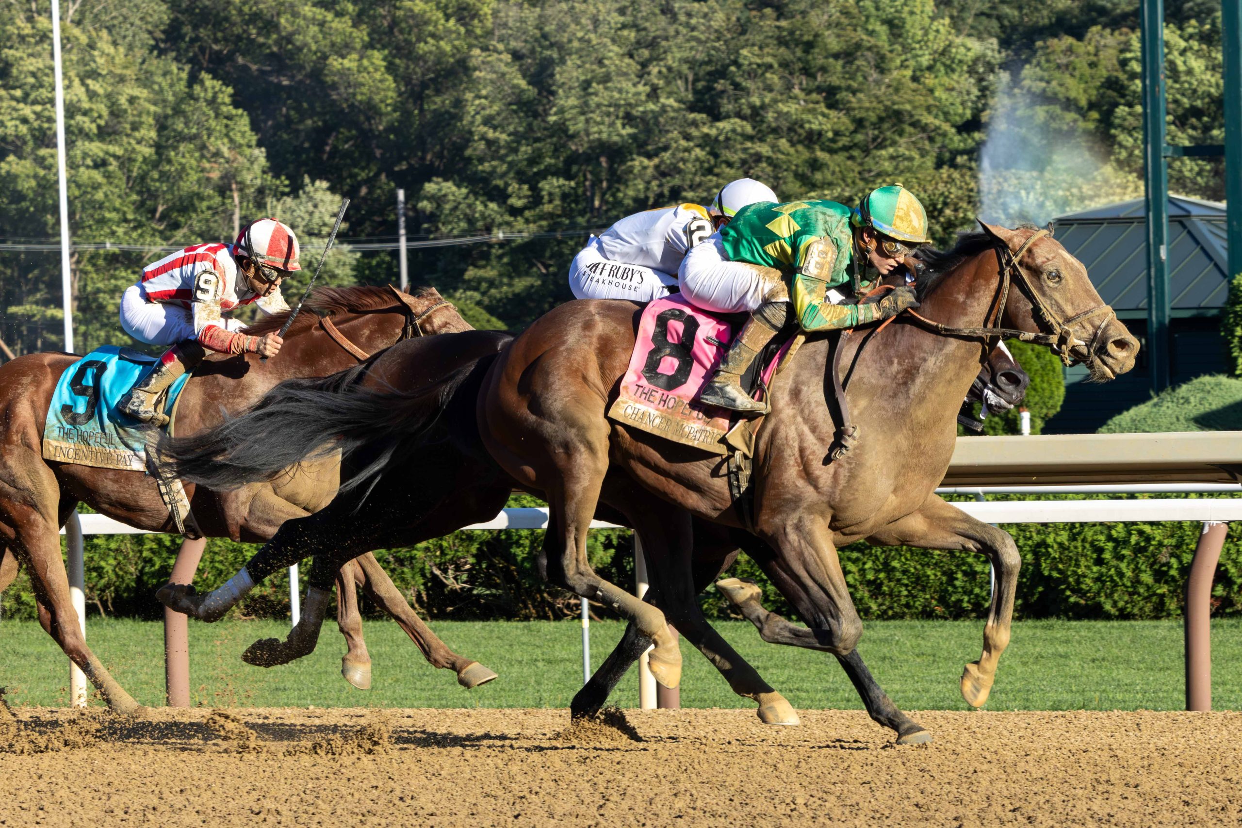 Este sábado Chad Brown busca su 2° Tampa Bay Derby (G3) consecutivo con dos opciones