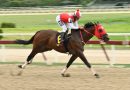 Gustavo Calvente correrá al argentino TUCO SALAMANCA en el Simón Bolívar