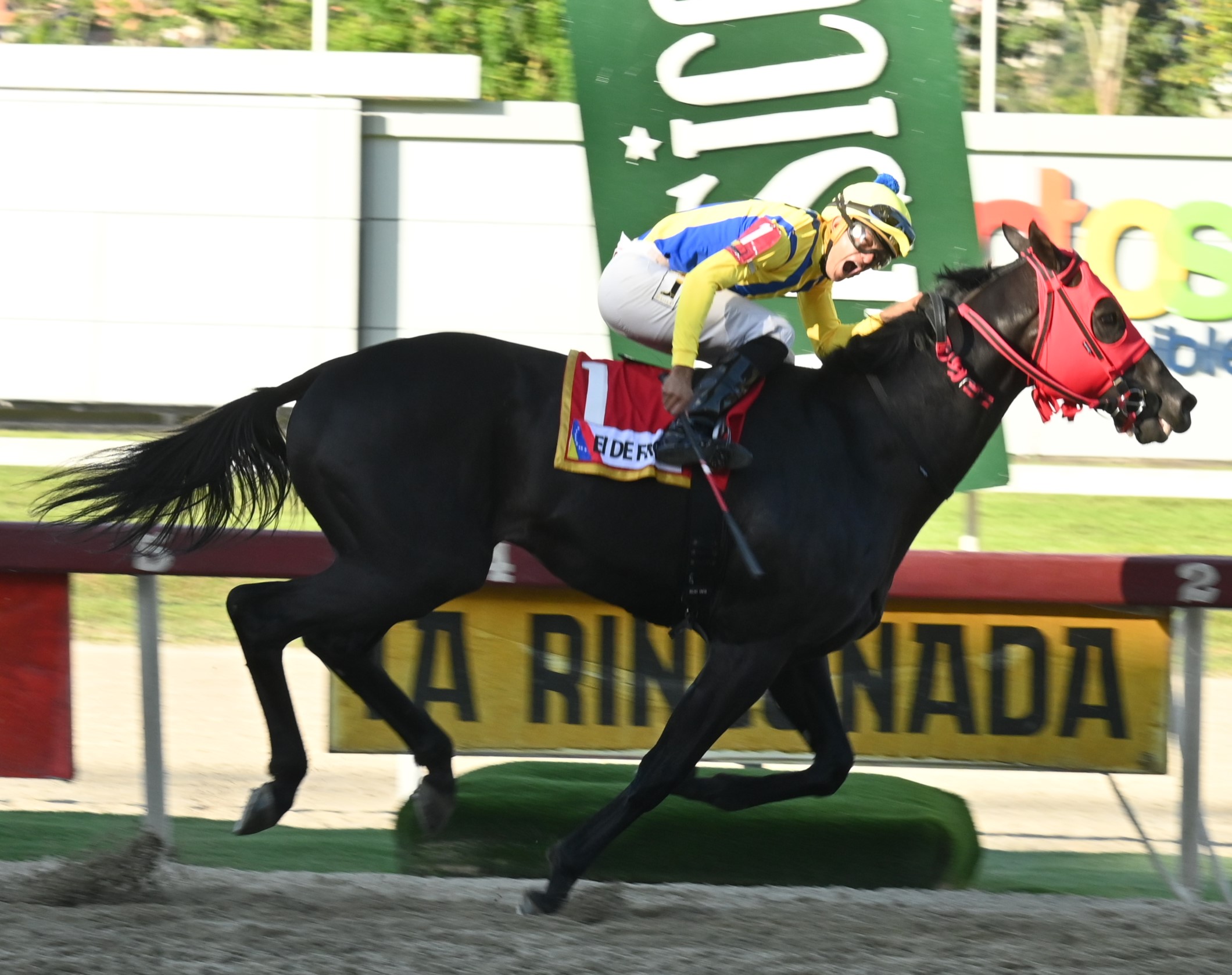 EL DE FROIX gana el Gran Premio Clásico Simón Bolívar (G1), en su quinto intento